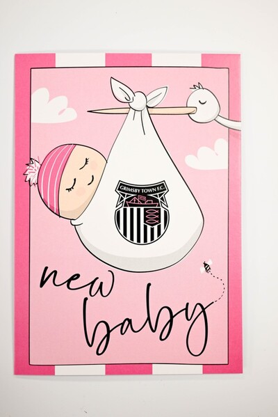 New Baby - Pink Stork