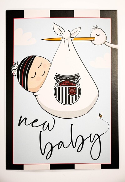 New Baby -  Blue Stork