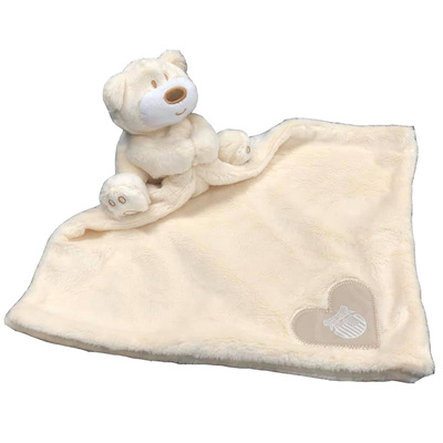 Baby Snug Blanket